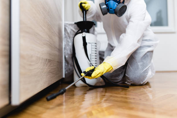Best Pest Removal Services  in Occoquan, VA