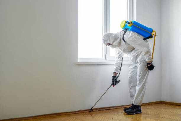 Best Pest Control Near Me  in Occoquan, VA