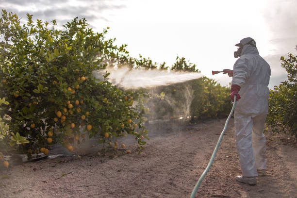 Best Insect Control  in Occoquan, VA