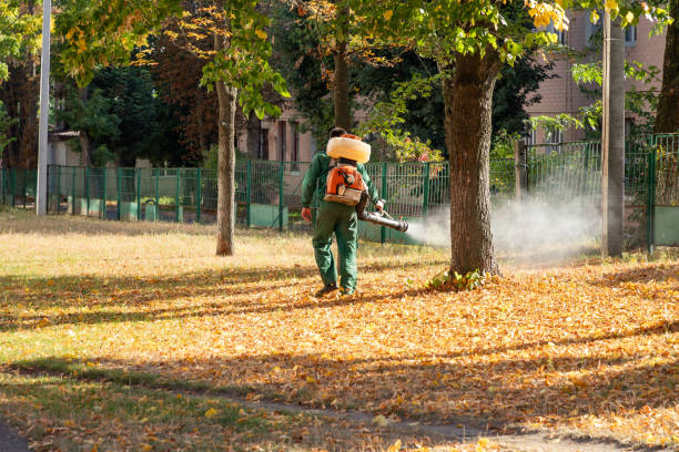 Best Affordable Pest Control Services  in Occoquan, VA