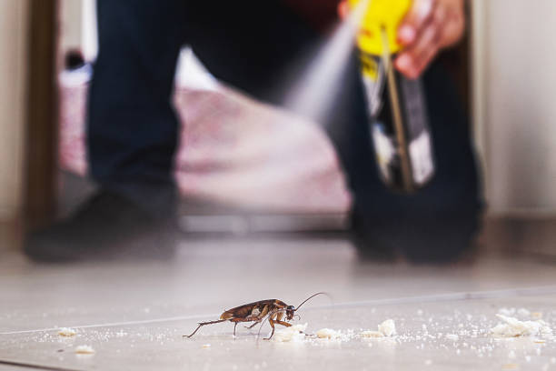Best Pest Control Near Me  in Occoquan, VA